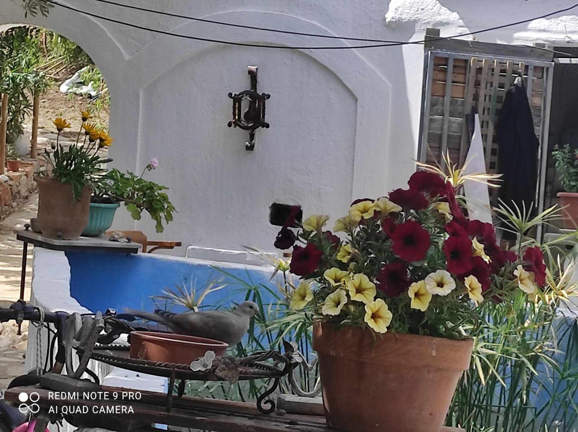Gabriellas Garden Bed & Breakfast Palaiokastro (Crete)