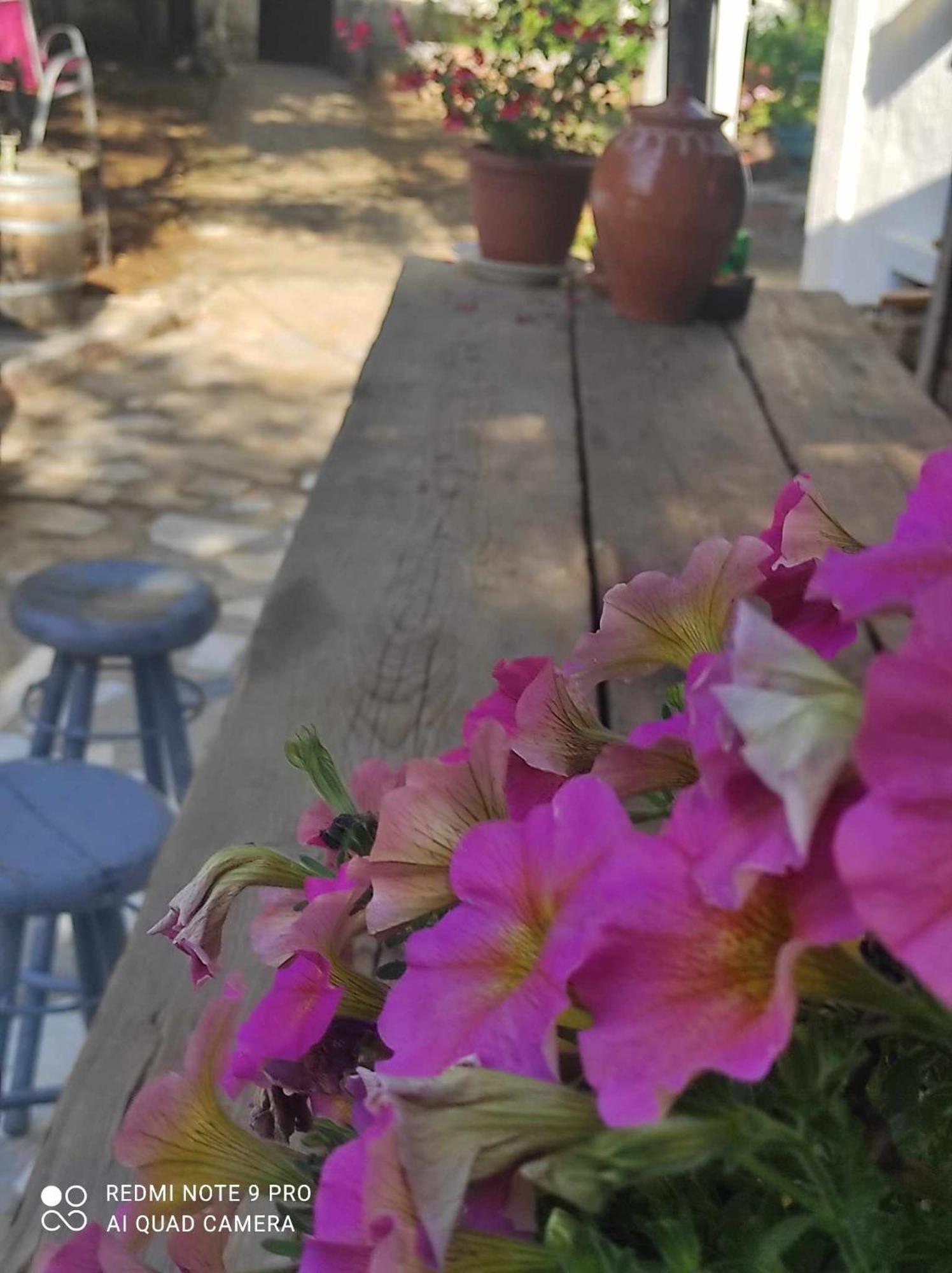 Bed & Breakfast Gabriellas Garden Palaiokastro (Crete)