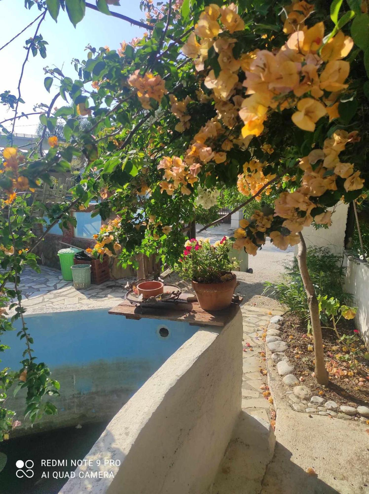 Gabriellas Garden