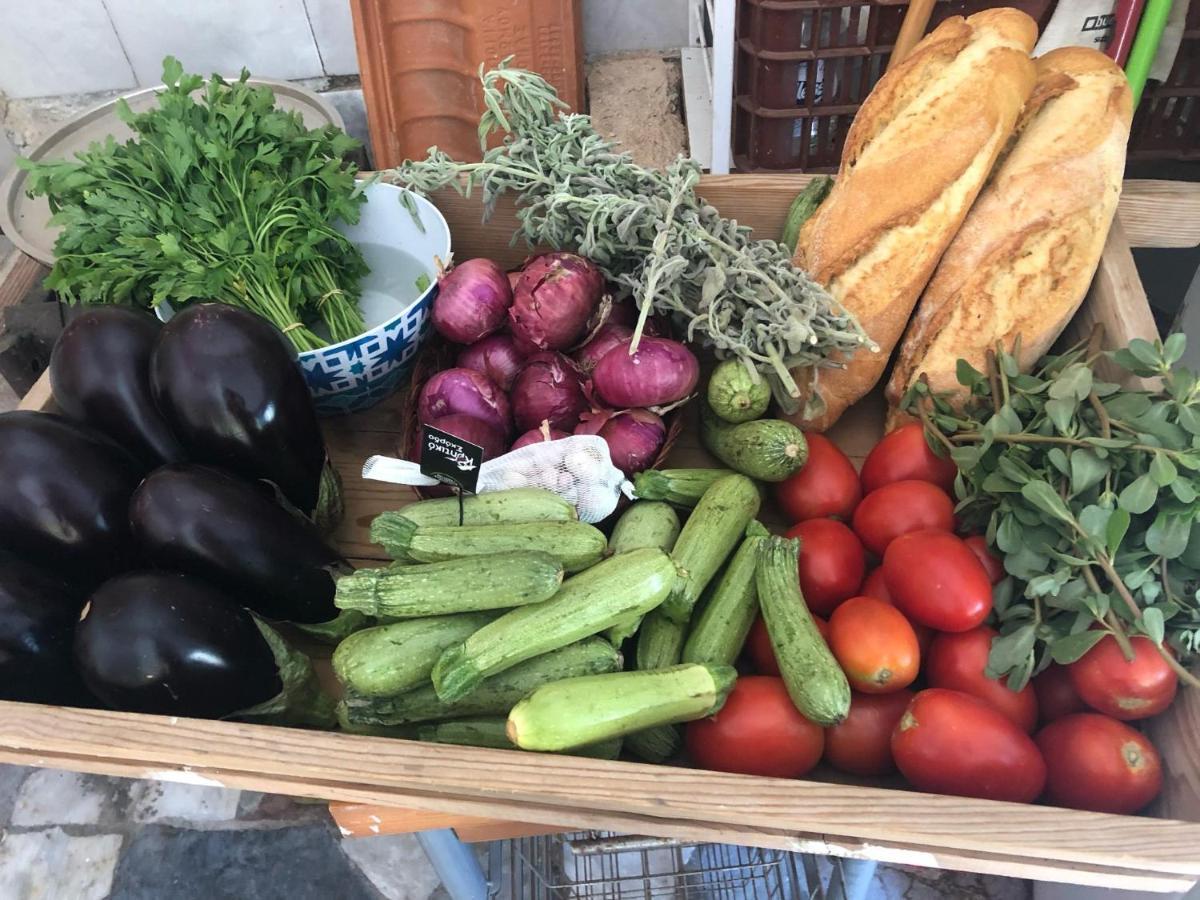 Gabriellas Garden Bed & Breakfast Palaiokastro (Crete)